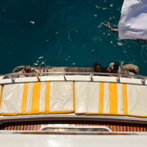 Intro Dive by boat 2 intros